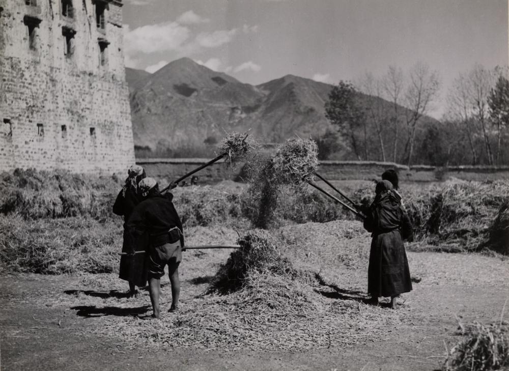 图片[1]-photographic print(black and white); album BM-1986-0313-0.1.182-China Archive